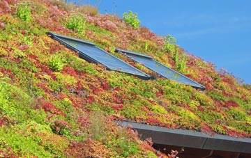 St Mellion living roof systems